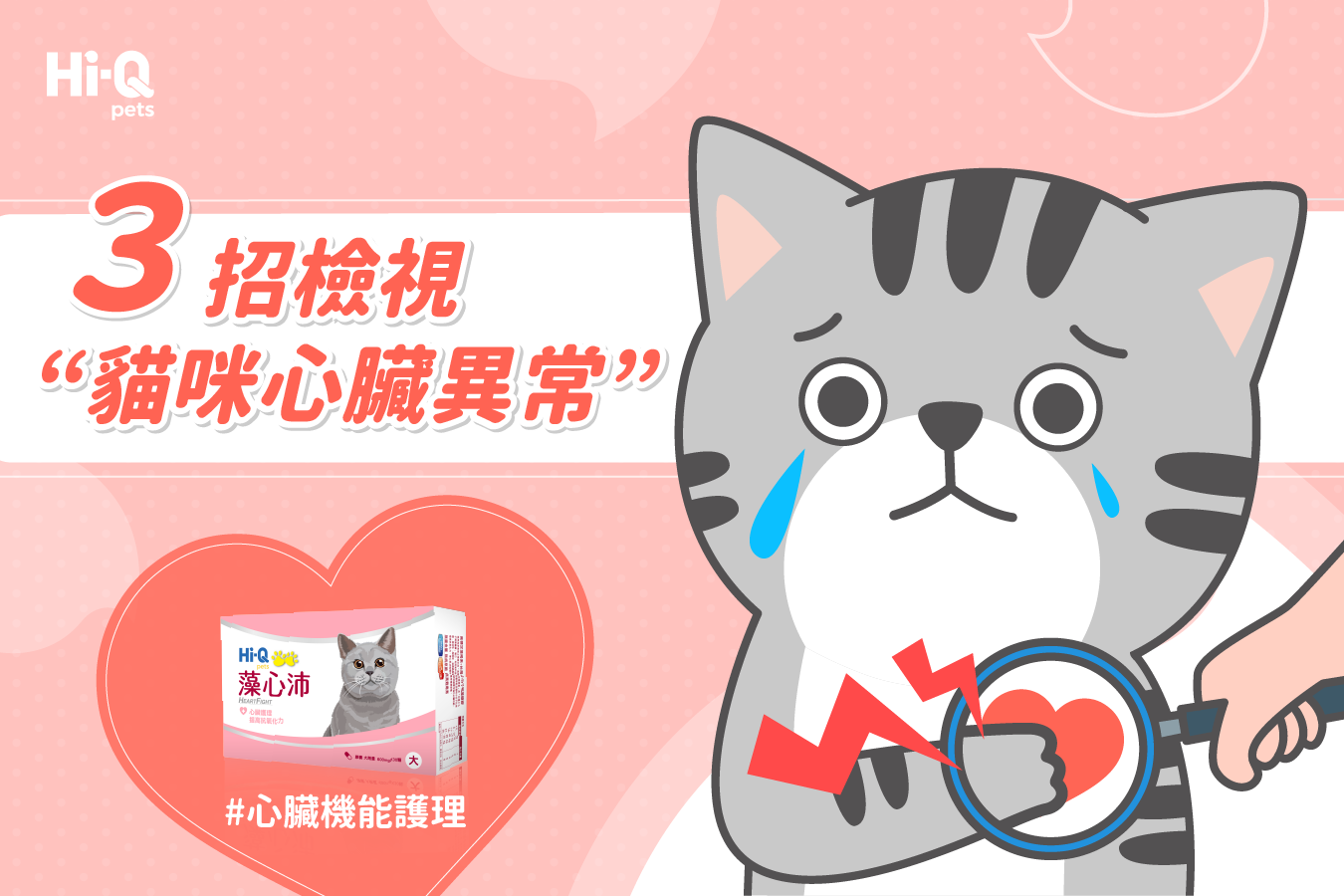 3招檢視“貓咪心臟異常”